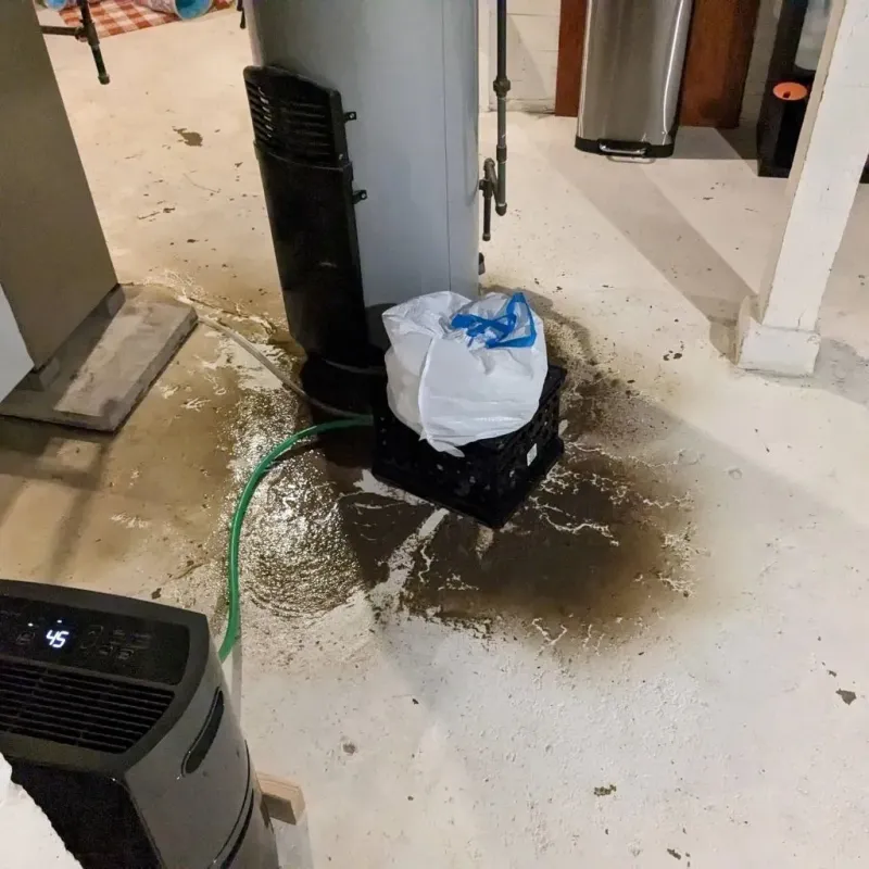 Sewage Backup Cleanup Service in Laytonville, CA